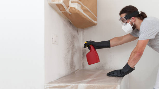 Professional Mold Remediation technician working in Holyoke, MA