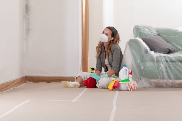 Reliable Mold Remediation contractor in Holyoke, MA by 24 Hour Mold Removal
